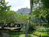 Hyatt Regency Yogyakarta 